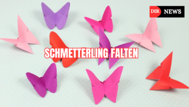 schmetterling falten